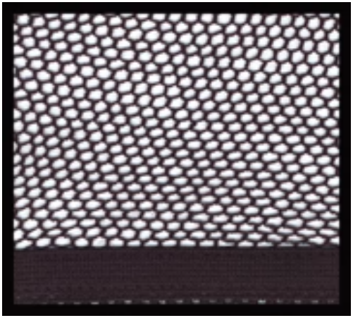 RWR® No Knot Hair Nets