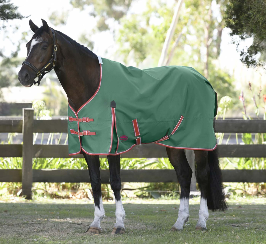 WeatherBeeta ComFITec Prelim Standard Neck Horse Turnout Sheet