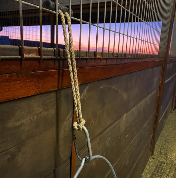 Hay Chix® Bucket Strap