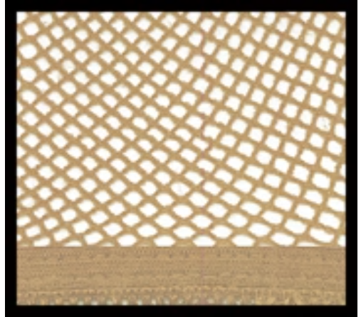 RWR® No Knot Hair Nets