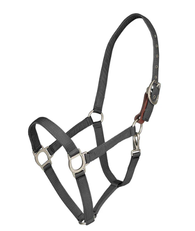 Lucky Breakaway Halter by Ovation®