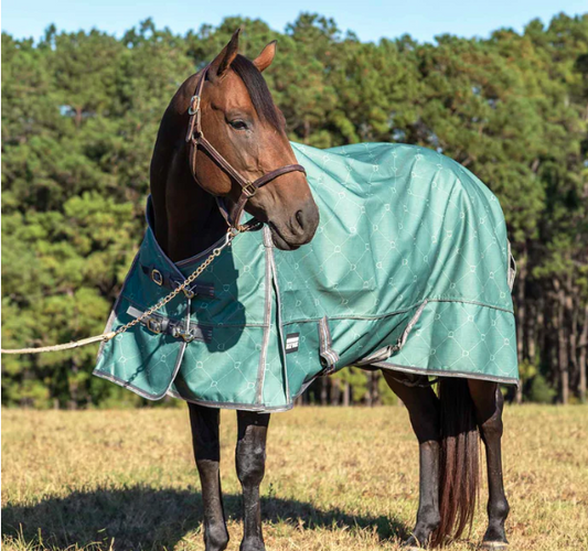Uniquely English 1200D Turnout Sheet, 0g – Waterproof & Breathable Lightweight Horse Blanket