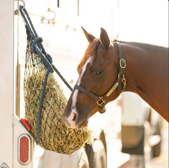 Hay Chix® Half Bale Net