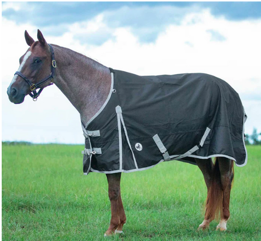 Economy 600 Denier Standard Neck Turnout Sheet, 0 Gram